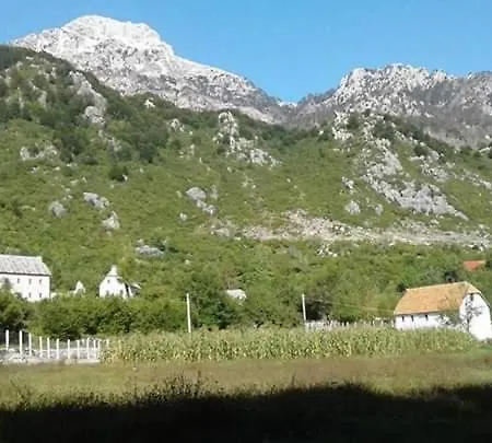 Guest House&camping Bajraktari Gasthof *