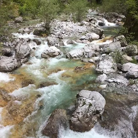 Guest House&camping Bajraktari